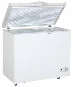 BD-300QE dc 태양 냉장고