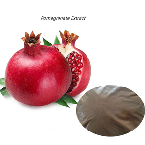 Extracto de <span class=keywords><strong>granada</strong></span> en polvo, 10:1, proveedor de fábrica - Product Image 2