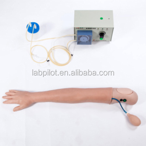 Hemodiálisis modelo <span class=keywords><strong>de</strong></span> brazo humano simulado, brazo <span class=keywords><strong>de</strong></span> acceso a la circulación sanguínea - Product Image 2