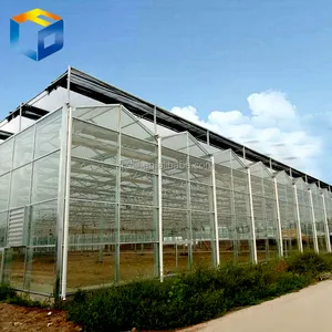 AGRICULTURE/INDUSTRIAL PLASTIC GREENHOUSE FOR SALE