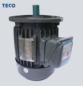 TECO 0.75KW 1hp cast iron housing high efficiency motor