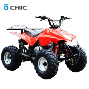 As marcas chinesas do atv jinling atv quad bike