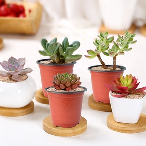 Doublure de pot de <span class=keywords><strong>fleur</strong></span> en plastique agricole jetable de Style campagnard moderne pour accrocher des fleurs de <span class=keywords><strong>jardin</strong></span> en plein air décor à la maison jardinière - Product Image 6