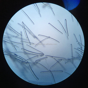 97% Чистый Экстракт губки иглой | <span class=keywords><strong>Spongilla</strong></span> badyaga | Spicule powder - Product Image 5