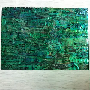 Interior Decor Natural Abalone Shell Sheets、New Zealand Paua Shell Laminate