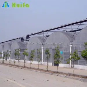 Double Layer Air Inflated Plastic Film Greenhouse