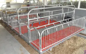 Pig/sow /piglet/piggery farrowing crate/ Gestation/stall/pen (Crate-01-R1)