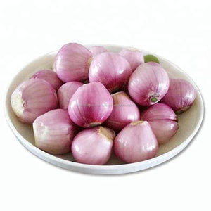 Délicieux Frais Jaune <span class=keywords><strong>Échalote</strong></span> Oignon <span class=keywords><strong>Prix</strong></span> - Product Image 5