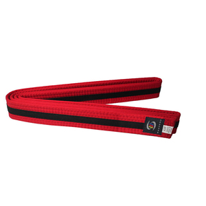 Ceintures d'arts martiaux populaires, <span class=keywords><strong>couleur</strong></span> <span class=keywords><strong>de</strong></span> bande personnalisée, <span class=keywords><strong>ceinture</strong></span> <span class=keywords><strong>de</strong></span> karaté, <span class=keywords><strong>couleur</strong></span> d'arts martiaux, <span class=keywords><strong>ceinture</strong></span> <span class=keywords><strong>de</strong></span> karaté, <span class=keywords><strong>taekwondo</strong></span>, judo, <span class=keywords><strong>ceinture</strong></span> noire - Product Image 4