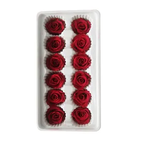 Scientific Names of Flower Longlife Roses Preserved Roses discount