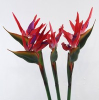 Fleur artificielle d'oiseau de paradis, tige unique, plante d'oiseau de paradis, décoration florale