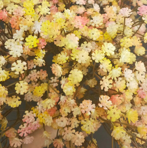 Color estrellado nórdicos creativa Decoración habitación DIY Artificial Gypsophila <span class=keywords><strong>acuerdo</strong></span> de aliento de bebé - Product Image 3