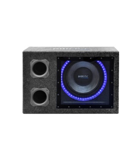 DIBEISI OEM/ODM vente en gros (jamais au détail) 12 pouces Subwoofer haut-parleur voiture Woofer avec télécommande amplificateur et led - Product Image 3