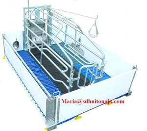 Đôi Lợn <span class=keywords><strong>Farrowing</strong></span> <span class=keywords><strong>Crate</strong></span> Cho Hai Gieo Với PVC Plank Hàng Rào Lồng Động Vật - Product Image 3