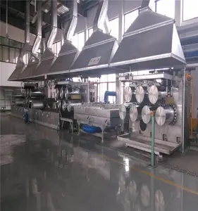 Hollow conjugated polyester staple fiber production line 30 tons per day PET flakes washing line