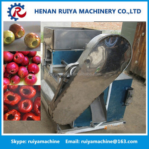 Otomatik zeytin çukurlaşma makinesi/meyve tarihi çukur kaldır makinası/alıç çukurlaşma makinesi - Product Image 4
