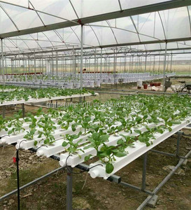 La agricultura de invernadero hidroponía planta solución nutritiva tubería - Product Image 1