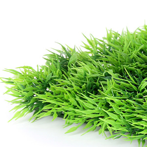 Kunstplanten - Product Image 5