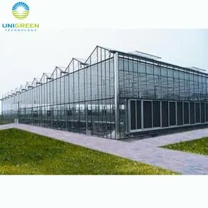 <span class=keywords><strong>Serre</strong></span> en plastique polycarbonate commerciale à faible coût, utilisée pour l'agriculture, <span class=keywords><strong>serre</strong></span> professionnelle en <span class=keywords><strong>verre</strong></span> pour les roses - Product Image 1