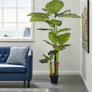 ต้นไม้อโลเซียแมคครเดรสต้นไม้ปลอมสำหรับตกแต่งบ้านต้นไม้ในร่มขนาด190ซม. - Product Image 2