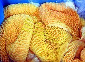 Lavadora de tripe de ganado, máquina de limpieza de tripe de vaca, limpiador de vientre de oveja - Product Image 6