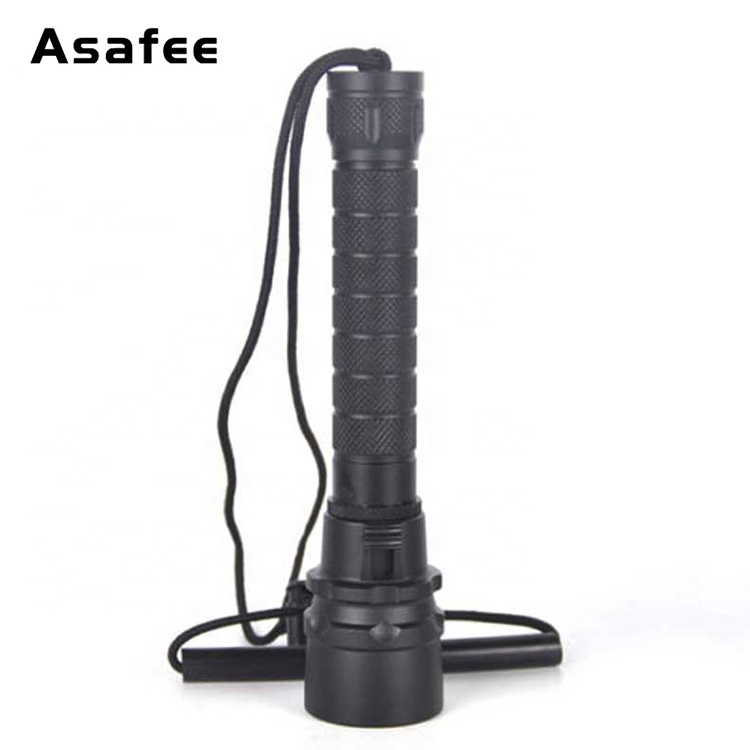 Welan LED Flashlight, 1000 Lumens, Zoomable, Waterproof, EDC, Camping, Hiking, Small, 0.35lb - View #7
