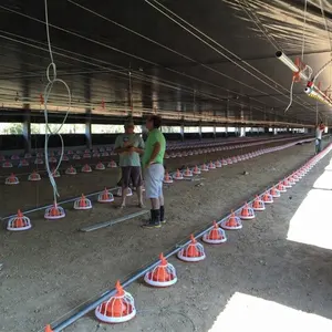 Sistema de alimentação de aves domésticas fornecedores de equipamentos para fazenda de frango na tailândia