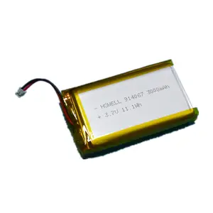 5v 3000 mah 충전식 배터리 3000 mah 3.7v/3000mah 리튬 배터리