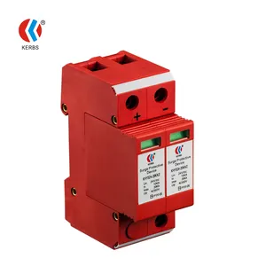 Reliable 2P 12V/24V/48V/110V DC Lightning Surge Arrester for Low Voltage Devices Surge Protection