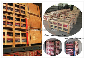 Neuer Hecklader Frontlader Schnee blatt Traktor für Farm und Restaurant für Produktions stätte - Product Image 6