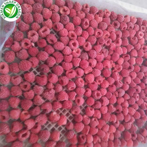 <span class=keywords><strong>IQF</strong></span> Đông Lạnh Toàn Bộ Màu Đỏ Mâm Xôi Không Ngọt Số Lượng Lớn Hữu Cơ Khỏe Mạnh Tự Nhiên Dinh Dưỡng Đóng Băng Đóng Băng Giá Bán Buôn - Product Image 6