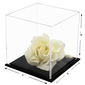 Vitrine de présentation de livres en plexiglas acrylique sur mesure, transparente, pour livres rares, avec bases noires vendues séparément, couvercles anti-poussière rigides - Product Image 5