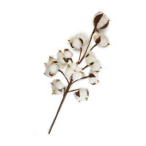 Décoration de mariage à domicile, fleurs artificielles séchées en coton coloré de Chine - Product Image 6