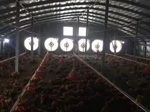 Ventilateur d'extraction, 36 pouces, 10000 cfm, ventilateur d'extraction, pour ferme de poulet, 36 pouces