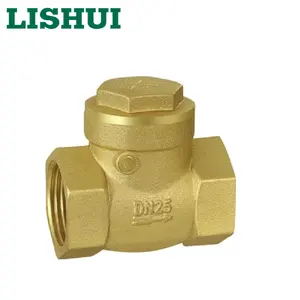 Swing check non-return valve brass dn15 dn100 DN15-DN100 for general support oem customized