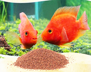 <span class=keywords><strong>Hikari</strong></span> Goldfish fibra bebé alimentos pellets flotantes 100g especialista Comida para peces - Product Image 1