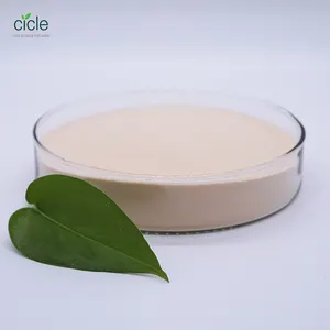 Buon mercato biostimulants Composto Amino acido 80% rapido solubile in polvere migliorare la crescita delle piante da fonte vegetale