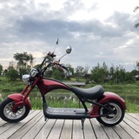 Entrepôt européen, meilleures ventes Alibaba, produits électroniques chinois en gros, vélo électrique 1000w