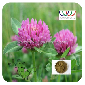 Fabricante de porcelana de Hormiga Envejecimiento Rojo Trébol Trifolium Pratense L. <span class=keywords><strong>Polvo</strong></span> de extracto de 40% de Isoflavonas - Product Image 2