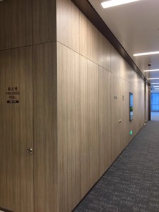 Revestimiento de Pared Interior M.A.G <span class=keywords><strong>Fundermax</strong></span> HPL en Venta - Product Image 2