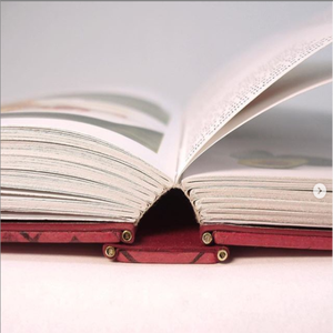 Durabilidad Flexibilidad encuadernación de libros lomo lateral adhesivo de fusión en caliente gránulo inodoro - Product Image 2