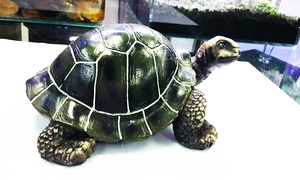 Aquarium/<span class=keywords><strong>Terrarium</strong></span> Dekor für Aquarium Harz Ornament Krokodil Schädel Knochen - Product Image 3