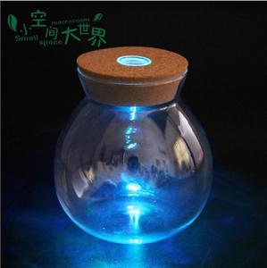 Vendite Dirette della fabbrica Mouthblown Borosilicato di Vetro <span class=keywords><strong>Piante</strong></span> Terrario/Vaso Di Vetro 11.5 centimetri * 12.5 centimetri 10 centimetri * 12.5cm - Product Image 5