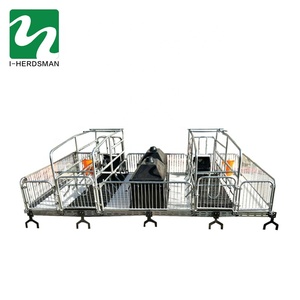 Incubadora para Granjas Porcinas <span class=keywords><strong>de</strong></span> Fácil Instalación a Precio <span class=keywords><strong>de</strong></span> Mayoreo, Cama <span class=keywords><strong>de</strong></span> Gestación para Cerdas, Jaulas Galvanizadas para Parideras - Product Image 3