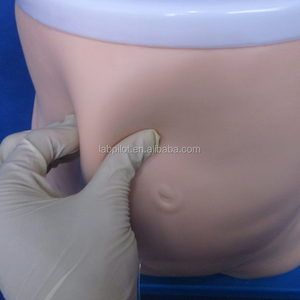 Gelişmiş PD simülatörü, periton diyaliz Model beyin - Product Image 2