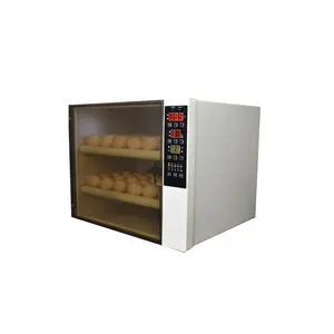 large small mini chicken egg incubators prices south africa