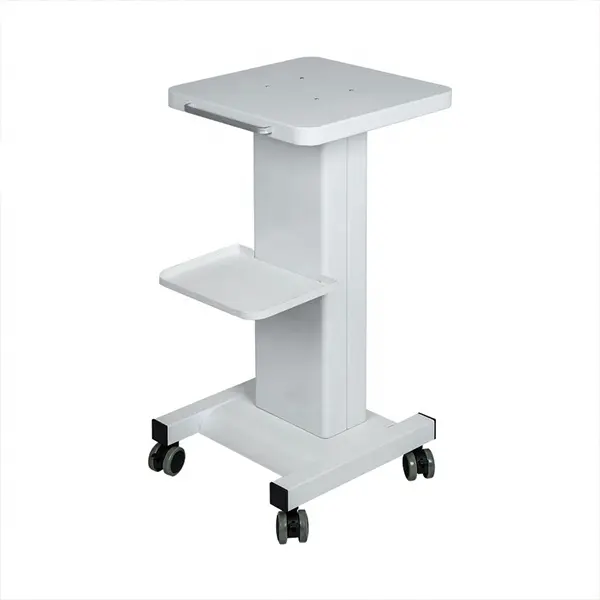 Salon Rolling Trolley Cart Stand Beauty Instrument Beauty Trolly Tray Rolling Cart with Wheel