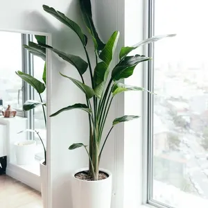 Árbol de plátano de plástico para viajeros, plantas artificiales, novedad