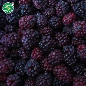 Iqf Frozen Berries Và Frozen Blackberry Giá Tốt Nhất