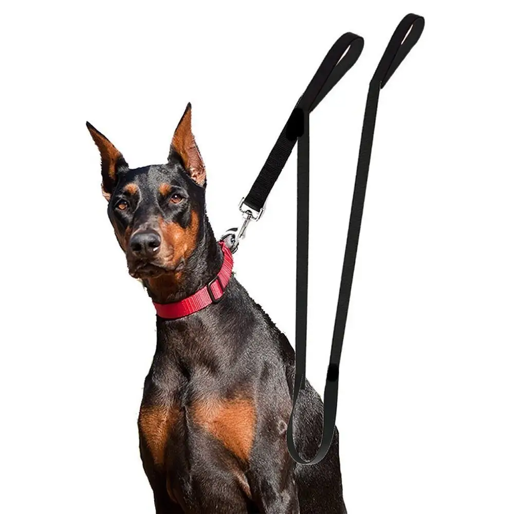 Greenwell 2 extra Long Dog Leash Double Handle Dual Padded Grip 8 ft Length Black Heavy Duty, Large/Medium Dogs